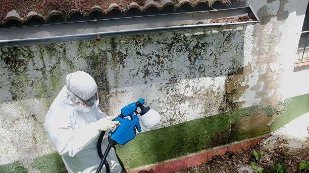 Mold Remediation service in Danvers, Danvers, MA